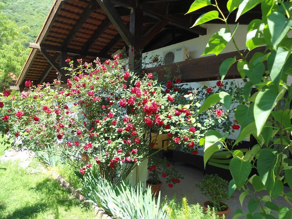 Pensiunea La Dolce Vita Băile Herculane Exterior foto
